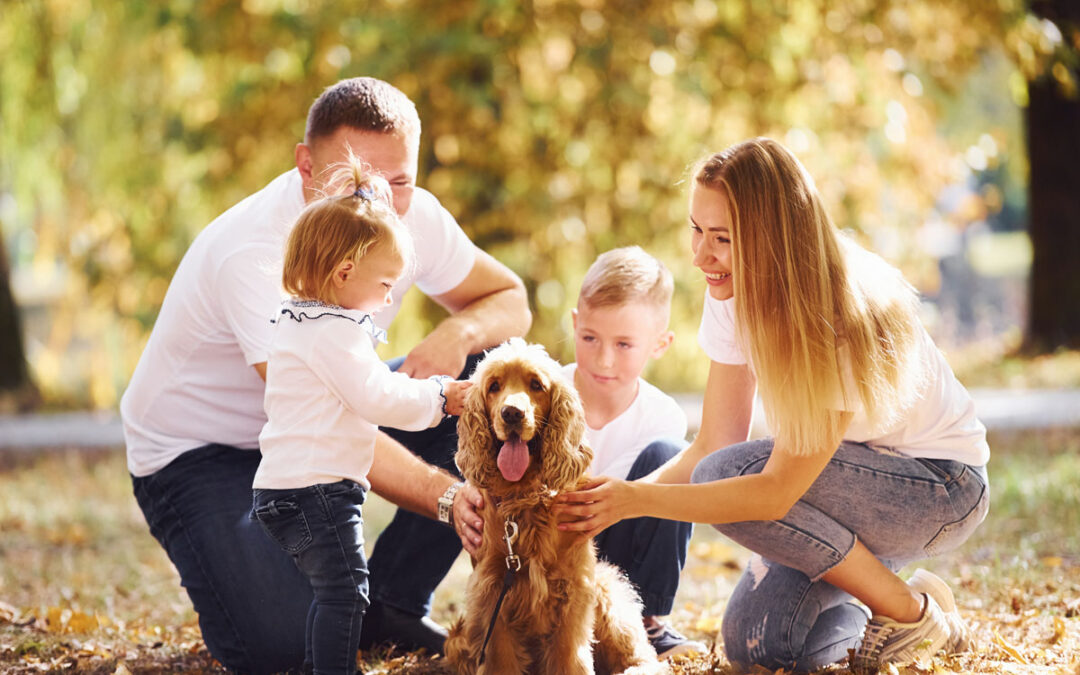 Teaching Child and Dog Safety