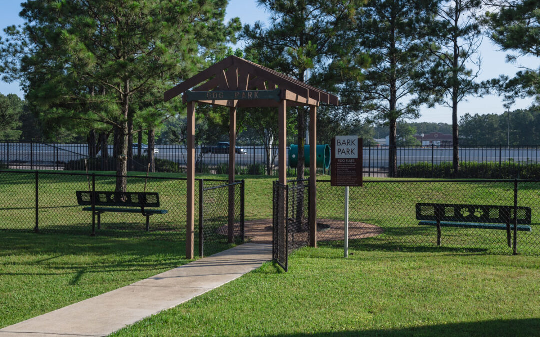 Why I Hate Dog Parks – And Why You Should, Too